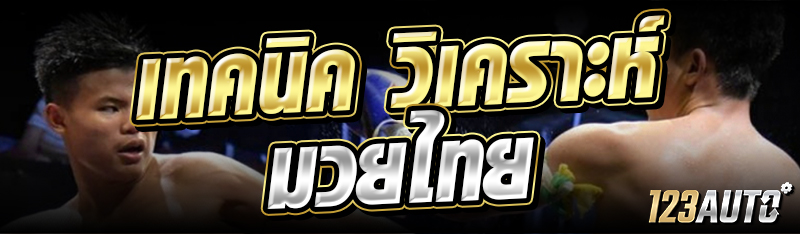 เทคนิค วิเคราะห์มวยไทย